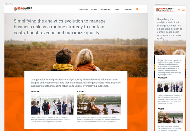 Gray Matter Analytics, Home Page Design